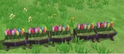 创造与魔法花朵种子获得方法
