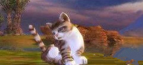 完美世界梅花猫宠物在哪