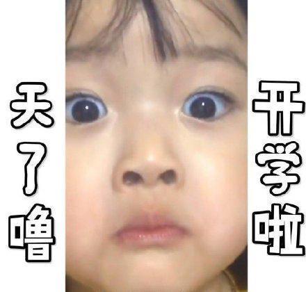 打起精神认真听课表情包