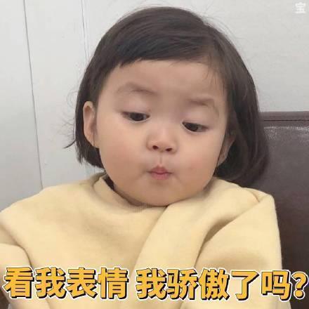 看我表情我骄傲了吗表情包
