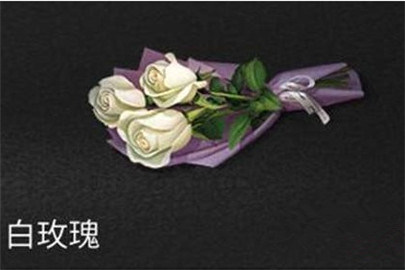 明日之后白玫瑰怎么获得
