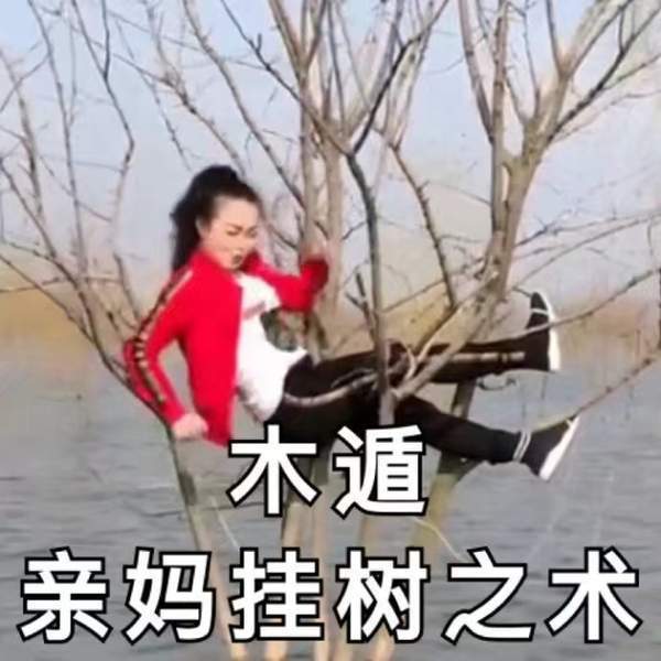 iefans网
