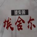 遗失的埃舍尔