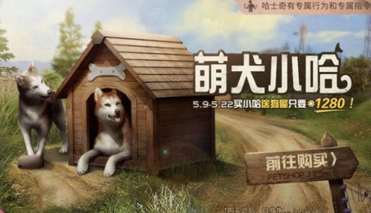 明日之后中萌犬小哈详情介绍