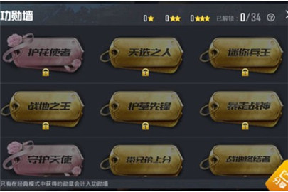 和平精英功勋墙获得条件大全