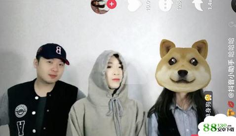 抖音1282/1278是什么梗?抖音1282/1278是什么意思?