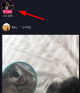 blob.png