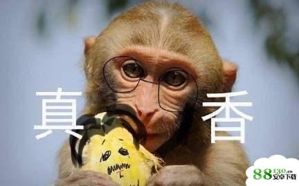 【镇魂女鬼表情包大全】镇魂女鬼表情包高清无水印分享