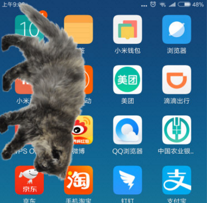 在手机屏幕上养宠物的软件叫什么？手机屏幕上怎么养宠物？