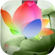 花の语
