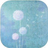 蒲公英成为孢子