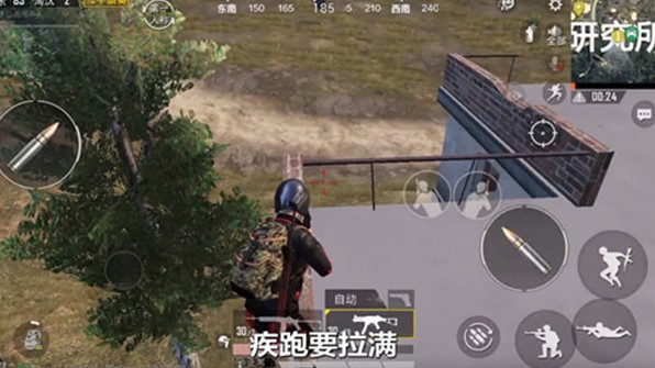 和平精英地图上树位置与操作技巧
