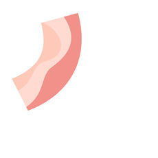 bacon游戏