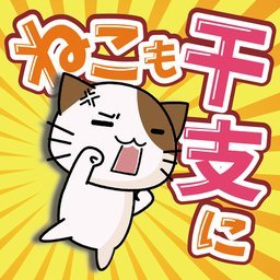 nekoeto猫咪