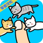 和小猫一起玩