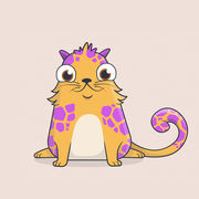 以太猫安卓版