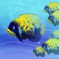 Reef.IO 版