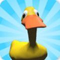Runny Duck