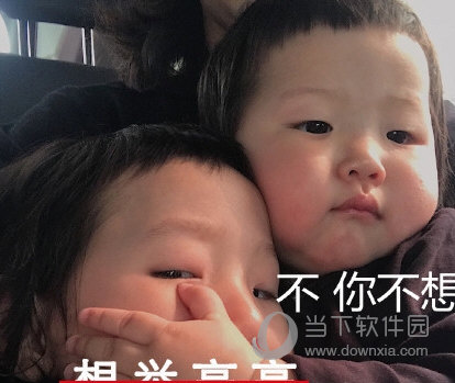 不你不想
