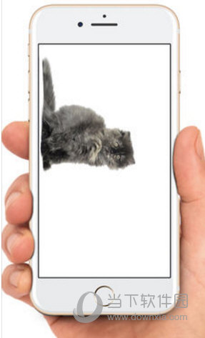 苹果手机怎么在屏幕上养宠物 宠物可以放在桌面上啦！