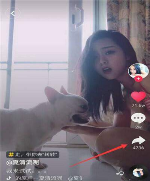 小米max3怎么设置动态壁纸？动态壁纸设置教程分享