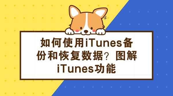  如何使用iTunes备份和恢复数据？图解iTunes功能