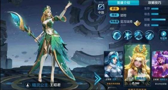 王者荣耀公认最好看的五个皮肤你买了几个？