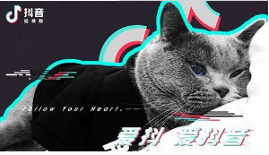 blob.png