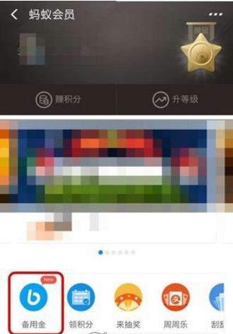 iefans网