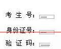 IE浏览器验证码输入框显示的很小该如何解决？解决方法介绍