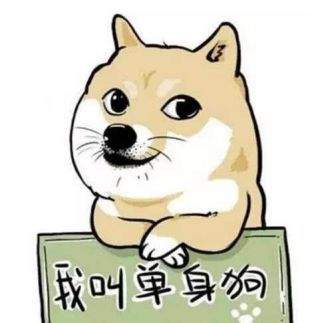 iefans网