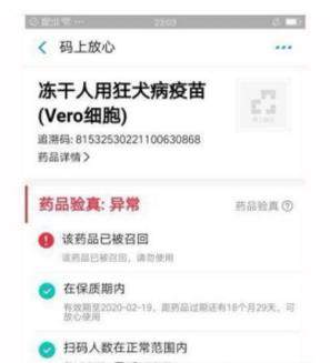 iefans网