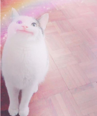 blob.png