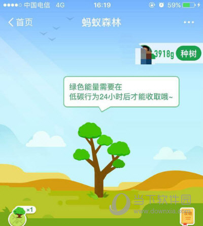 支付宝花呗蚂蚁森林