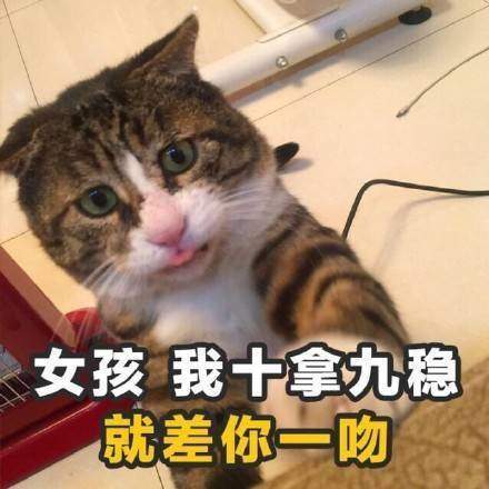 【撩妹土味情话表情包合集】学到就是赚到土味情话表情包
