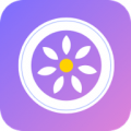 女司机APP