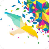 一个奇鸽APP