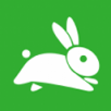 兔头条APP