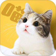 有喵APP