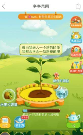 iefans网