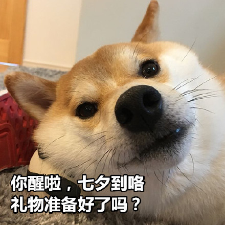 //imgres.iefans.net/iefans/16/77993-202007171855265f11839e31a9c.jpg