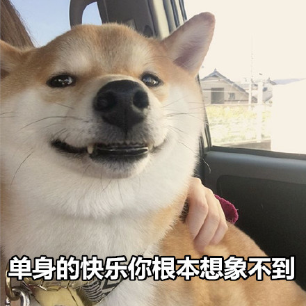 //imgres.iefans.net/iefans/16/77993-202007171855265f11839e44711.jpg