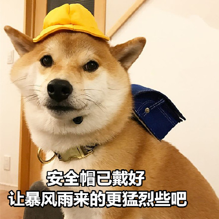 //imgres.iefans.net/iefans/16/77993-202007171855265f11839e4b2a2.jpg
