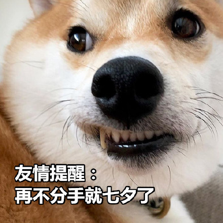//imgres.iefans.net/iefans/16/77993-202007171855265f11839e5ba7c.jpg
