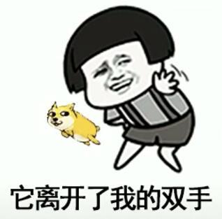 抖音我在那小区遛狗歌曲名字 歌名、歌词分享