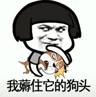 抖音我在那小区遛狗歌曲名字 歌名、歌词分享