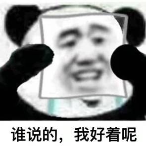 熊猫我没事啊表情包大全 我真没事的图片