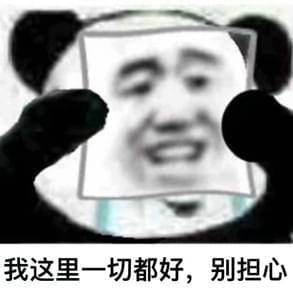 熊猫我没事啊表情包大全 我真没事的图片