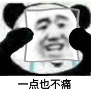熊猫我没事啊表情包大全 我真没事的图片