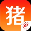 猪易通APP
